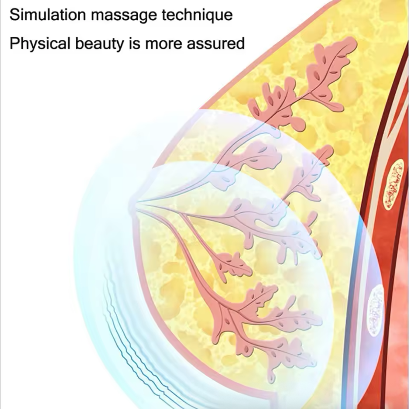 Rechargeable Breast Massager for Firming, Lifting & Enhanced Circulation – Discreet Delivery