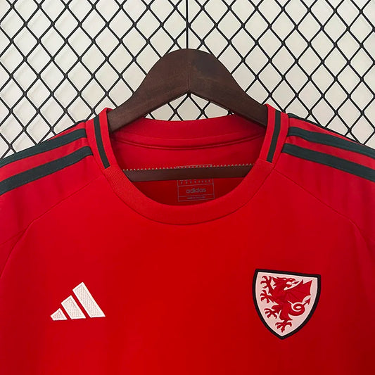 2024-25 Wales Home Fans Soccer Jersey