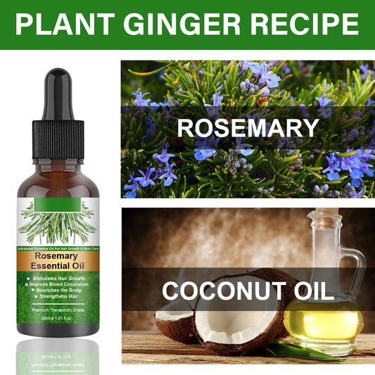 EELHOE Rosemary Hair Care Essential Oil - Hair Growth Enhancer & Anti-Hair Loss Herbal Support, Nourishing Scalp and Roots
