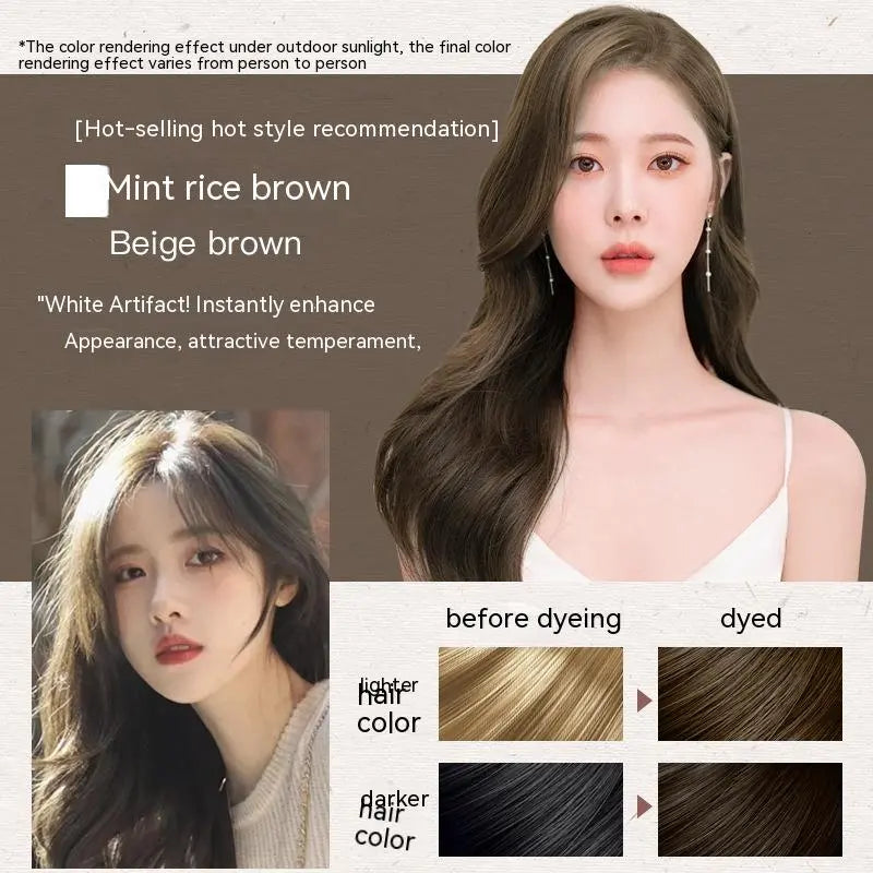 MAJOR Shoupin Ammonia-Free Hair Dye (100ml) – Natural, Long-Lasting Color & Hair Health