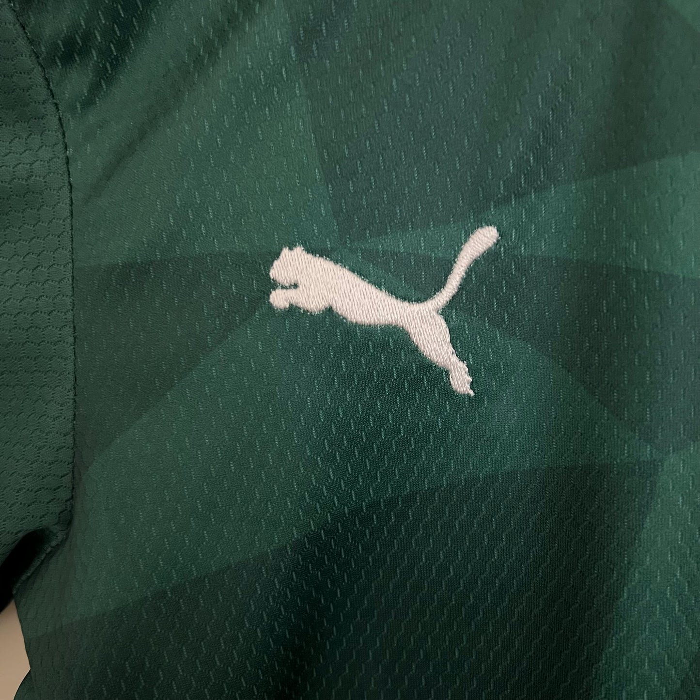 2025 Palmeiras Home Kids Soccer Jersey