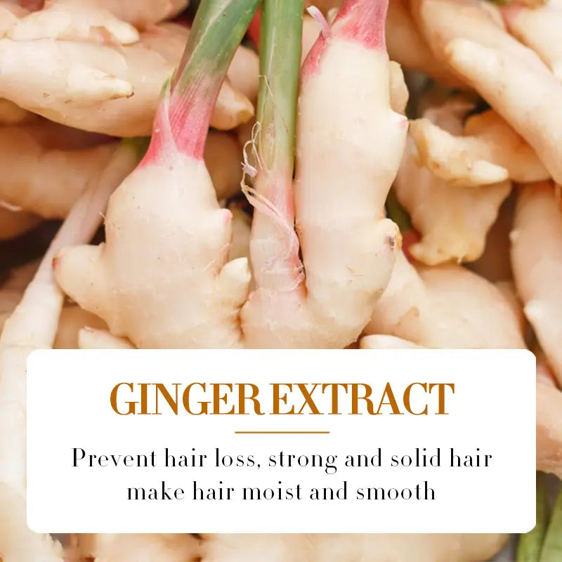 SADOER Ginger Hair Loss Herbal Support Oil - Anti-Hair Loss Formula