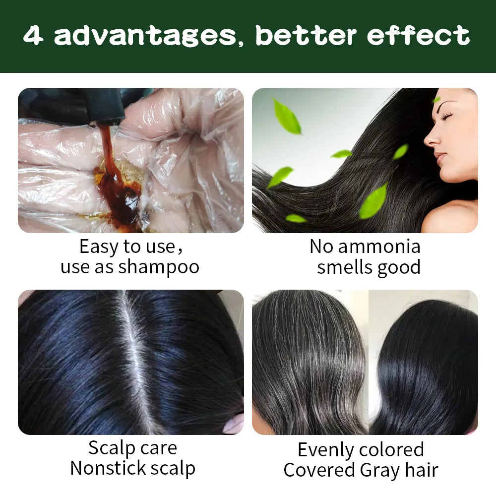 AUGEAU Herbal Hair Dye Shampoo (500ml) – Ammonia-Free, Vegan, Easy Coloring & Nourishing