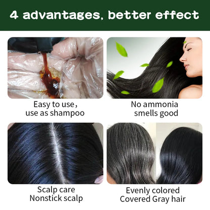 AUGEAU Herbal Hair Dye Shampoo (500ml) – Ammonia-Free, Vegan, Easy Coloring & Nourishing