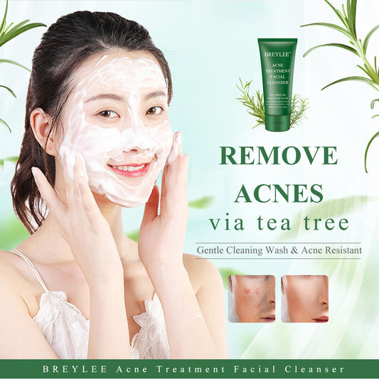 BREYLEE Tea Tree Extract Balancing Facial Cleanser – Deep Pore Purifying & Oil-Free Refreshing Foam (100ml)