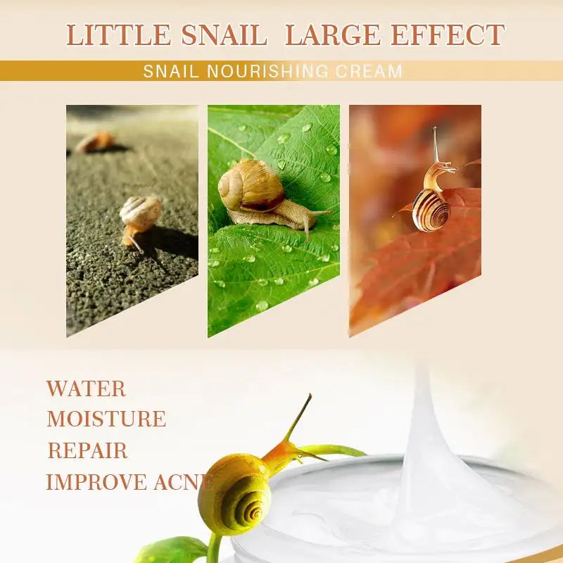 EFERO Wrinkle-Reducing Snail Cream That Tightens Pores and Brightens Your Skin -30g