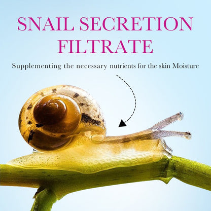 SADOER Snail Extract & Recombinant Collagen Face Cream – Anti-Aging, Wrinkle & Scar Repair 300g