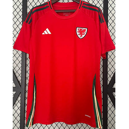 2024-25 Wales Home Fans Soccer Jersey