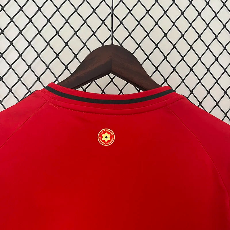 2024-25 Wales Home Fans Soccer Jersey