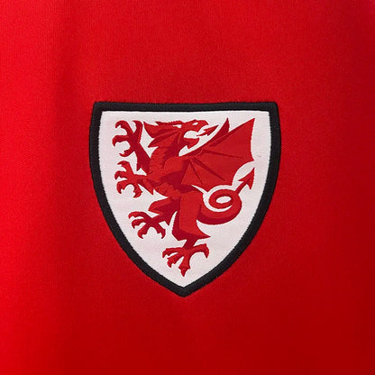 2024-25 Wales Home Fans Soccer Jersey